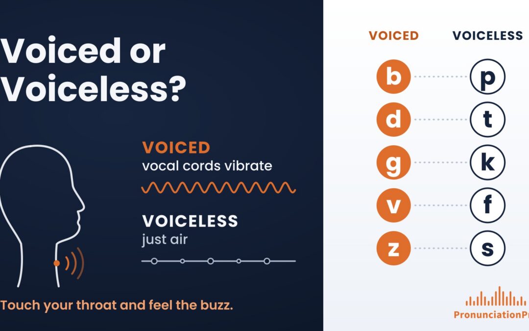 Diagram comparing voiced and voiceless English consonant pairs: b and p, d and t, g and k, v and f, z and s